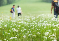 锦江都城、白玉兰、锦江之星酒店五一优惠福利合集