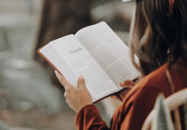 一周开业丨万怡、万枫、君亭、美憬阁4家酒店开业