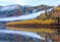 锦江之星：带你闯入童话秘境伊春