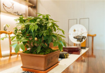 不好意思，这家在宜宾的格林东方，我们宣传晚了