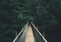 广西文旅厅：打造八大旅游民宿标杆示范地，2025年民宿消费达到60亿