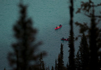 途牛2019年毛利率同比下滑8%，预计今年第一季度营收同比下滑65%-75%