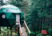 君澜酒店集团倡议：关爱环境、保护野生动物！