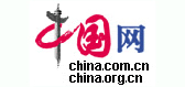 5.中国网