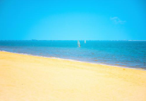 白玉兰酒店丨择一城，赏尽南国盎然的春·海南篇