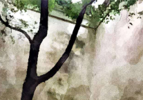 复工“潮”来|旅游住宿业转型的准备和希望在哪儿？