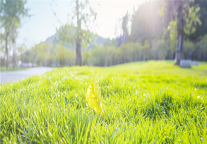 行业复工复苏，格林酒店集团积极筹备新酒店开业