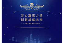 匠心凝聚力量，创新成就未来 2020，蝶来再出发!