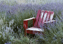 黄山市黟县龙江文旅综合开发项目签约，总投资约20亿