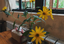 迈点译讯丨2020， 联合办公的新出路在哪里？