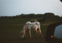 曲江文旅、云南旅游、宋城演艺发布2019年度及今年一季度报告