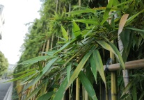 如何重建“适合未来”的旅游业