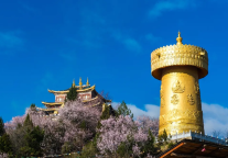 别再错过末班车，跟随主播打卡藏式生活