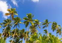 浙江平阳县百亿文旅项目签约开工