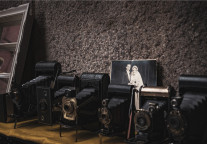 被申请破产清算，腾邦国际危矣