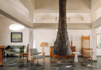 “黑天鹅”的进击，城市民宿有招吗？