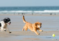 重塑客人的忠诚度：放弃“忠诚计划”而去追求留存率