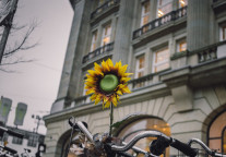 东京奥运会延期，日本入境游 “黄了”，中国这些领域将受牵连！