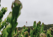 疫情难挡投资热，多地“加鞭”上马大体量文旅项目