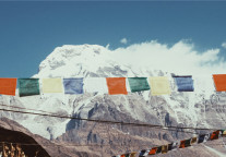 再不抢滩国内游，今年就揭不开锅了