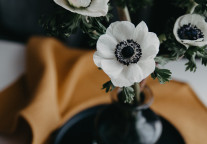 一周开业丨希尔顿、诺富特 、宜尚PLUS、白玉兰等5家酒店新开