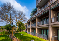 蝶来酒店深耕内容营销，带动经营积极回暖