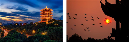 图片41.png