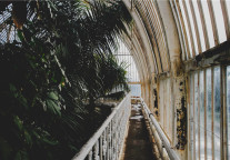 姚儒国先生荣获安徽省教学成果二等奖