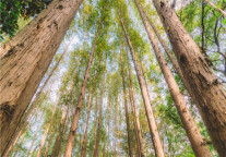 格林东方亳州万达广场希夷大道酒店，集东方雅典与大气为一体的舒享酒店