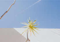 一个被度假酒店忽略的优质消费群体