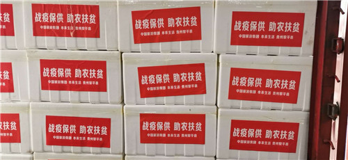 中国旅游集团驰援抗疫蔬菜送达武汉医院1.jpg