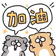 3.gif