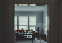 安歆宣布战略并购易企租，运营规模持续扩张