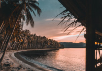 谷安迪：疫情变局之后的步步惊心！