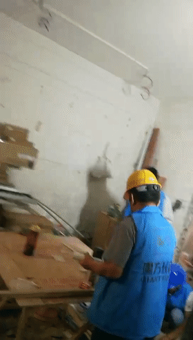 11.gif