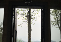 重新定义“曹操” —— 谁是《三国志》真正的主人？