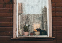 谁在抄底城市民宿？