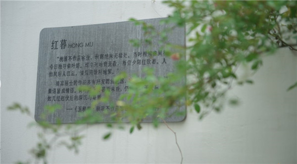 640.jpg