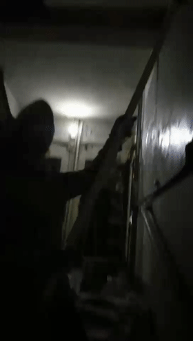 13.gif