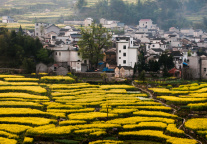 《疫后旅业重启游客出行偏好报告》