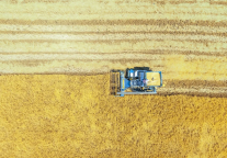 锦江都城芒种 | 文化艺术荟萃，助您寻找别样探索之旅