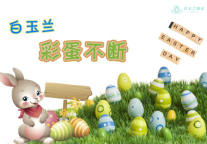 白玉兰酒店丨彩蛋不断