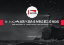 2019-2020年海南酒店业市场发展及投资趋势