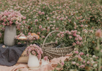 2020下半年，民宿经营的趋势、挑战和出路