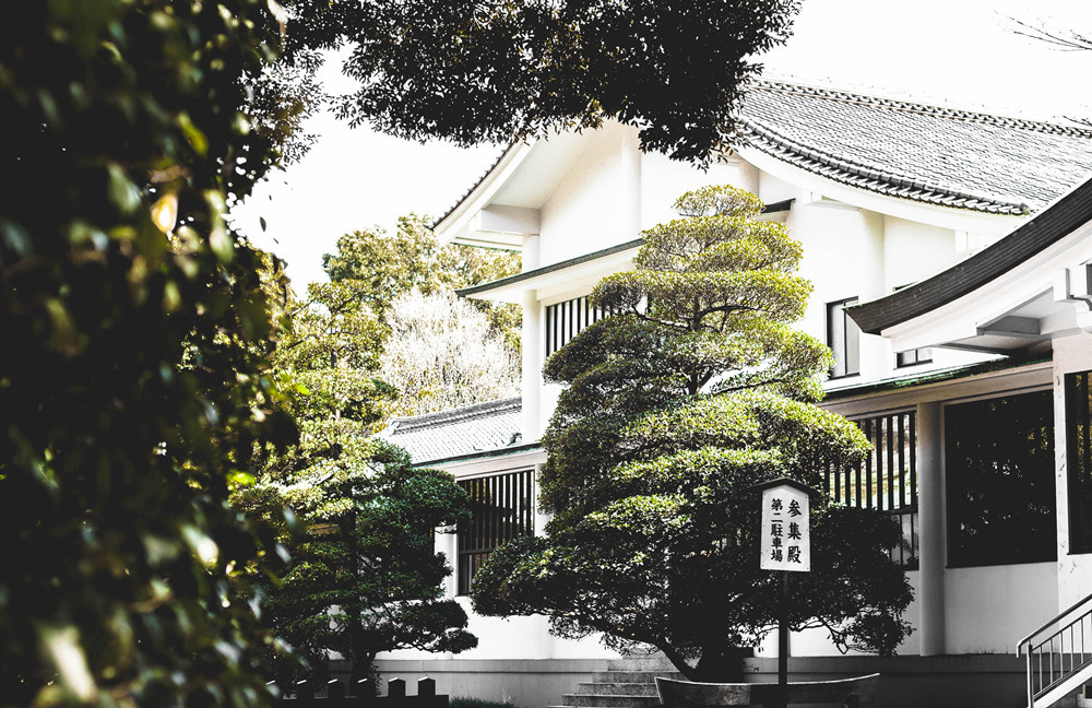 紧跟游客需求,做好产品服务转型,民宿振兴正当时