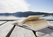 白玉兰酒店丨灵动生活，玉兰书香