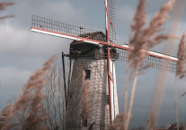 曲江文旅收到政府补助481万元 今年以来已获补贴961万