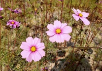 2020：被技术改变的旅游业