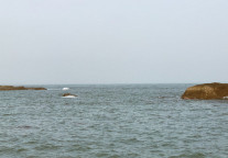 迈点译讯丨全球旅游业信心调查：亚洲公民最积极，日、澳成旅行目的地首选