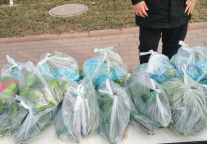 共渡难关 济南新区书香世家酒店在行动!